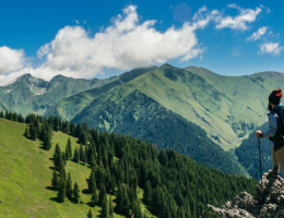 Thank You! Had A Good Trip