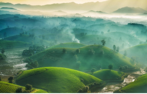 Da Nang Greets First Flight From Japan Edit