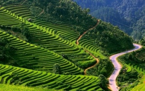 Useful Things To Know Before Traveling To Vietnam