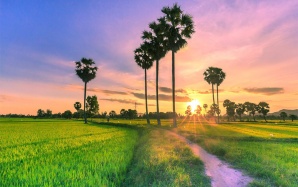 Son Doong - World’s Largest Cave