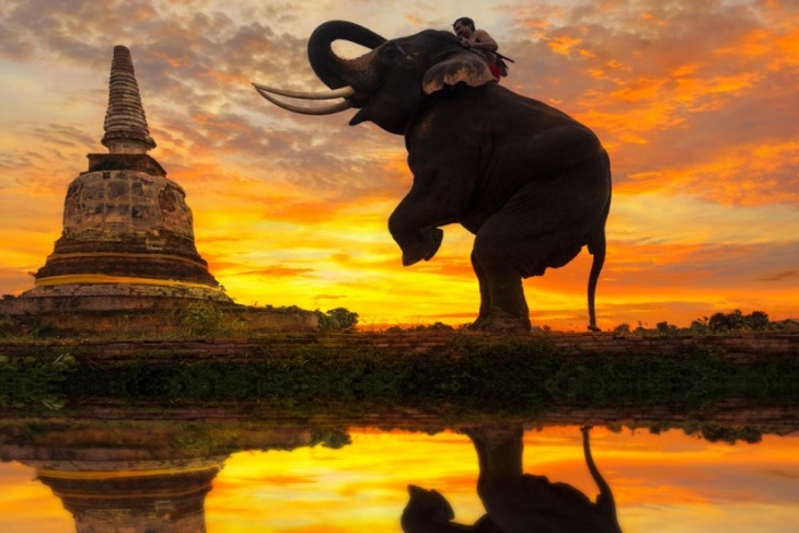  Vietnam Beefs Up Airport Security Ahead Of General Elections