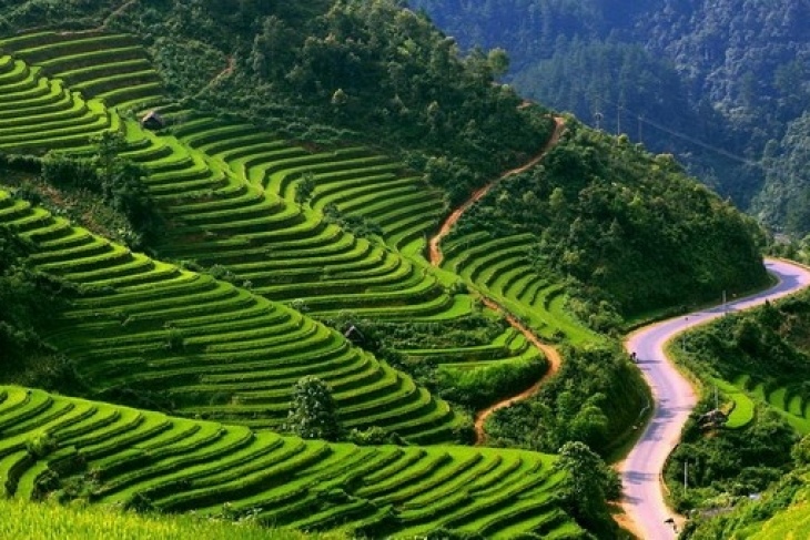 Useful Things To Know Before Traveling To Vietnam